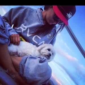 Meet your Posher, Dee